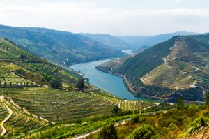 Weinland Portugal - portugiesischer Wein