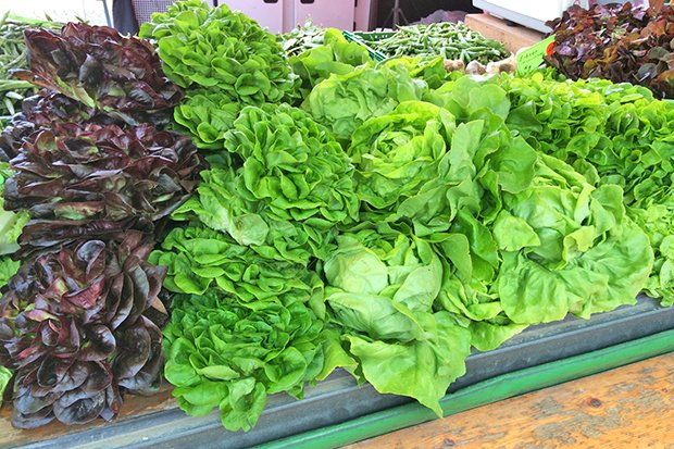 Grüne Salate sind im Sommer am frischesten am Markt zu bekommen