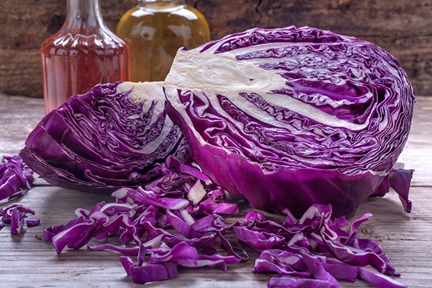 Violettes Gemüse wie Rotkohl enthält besonders viel gesundes Anthocyan