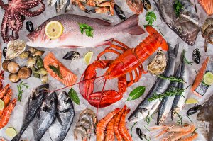 Warenkunde Fisch & Meeresfrüchte