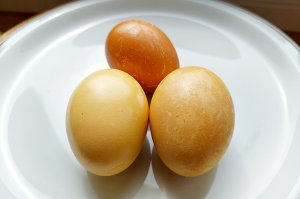 Eier färben mit Currypulver