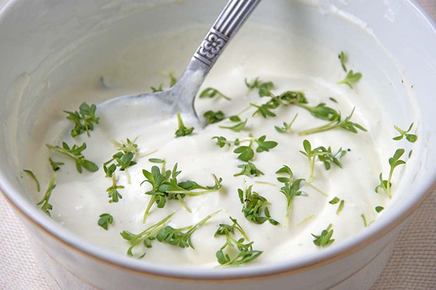 Brunnenkressen-Joghurt