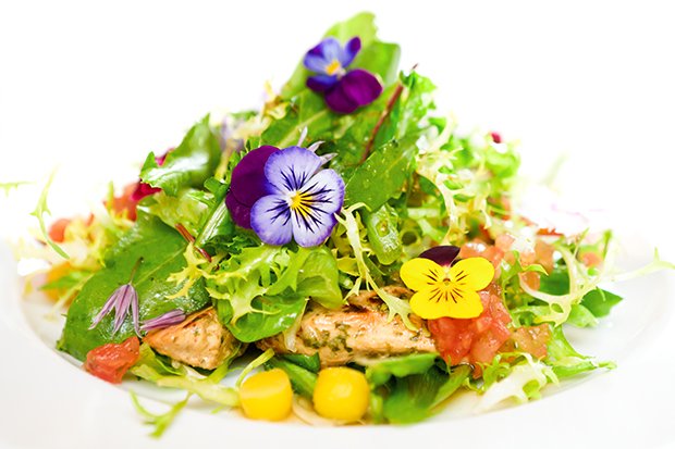 Wildkräuter-Sommersalat